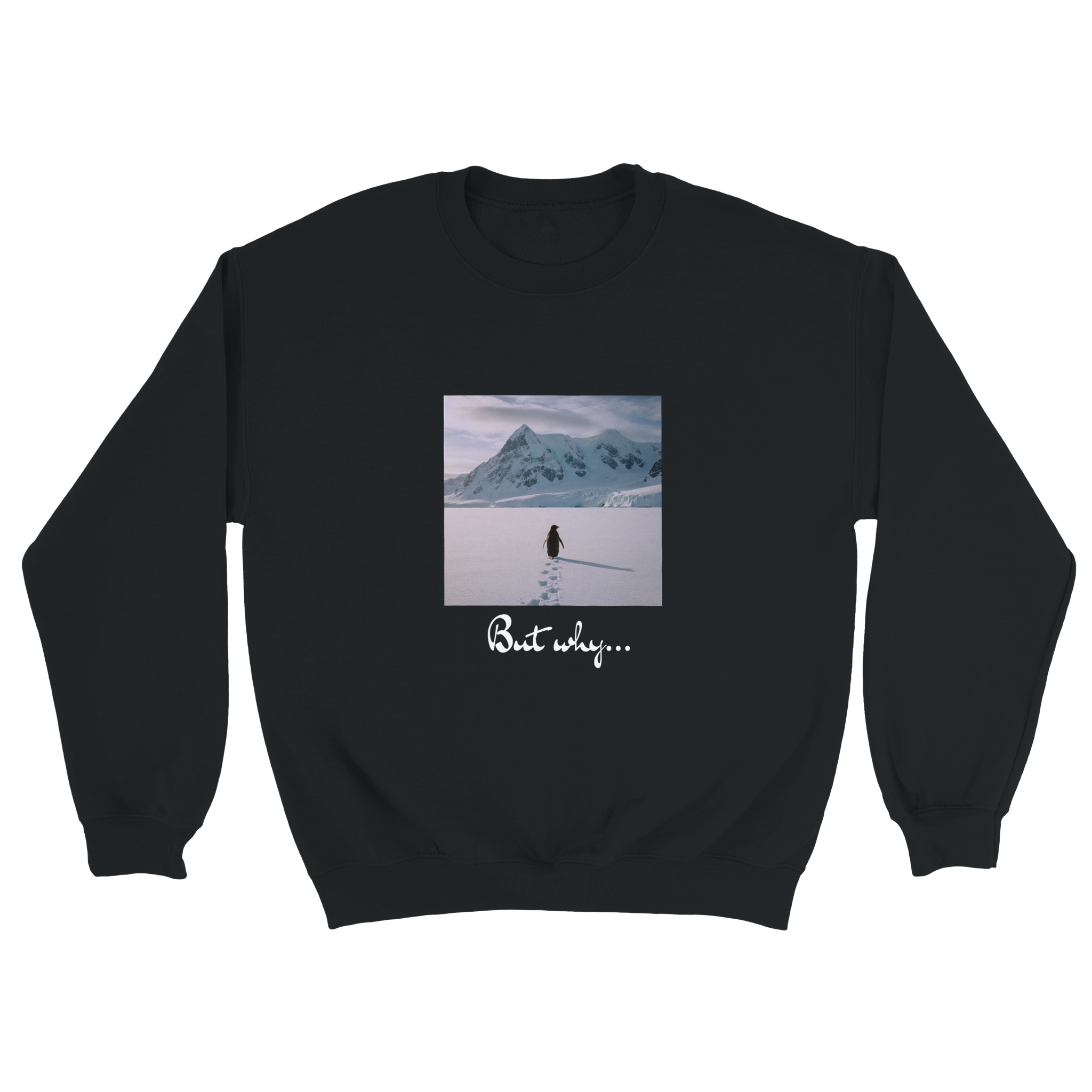 68bd8fa5-5ca1-4050-93ef-24fd76811a0e